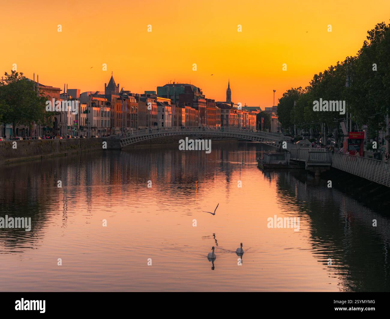 Riflessi dorati al tramonto nella città di Dublino Foto Stock
