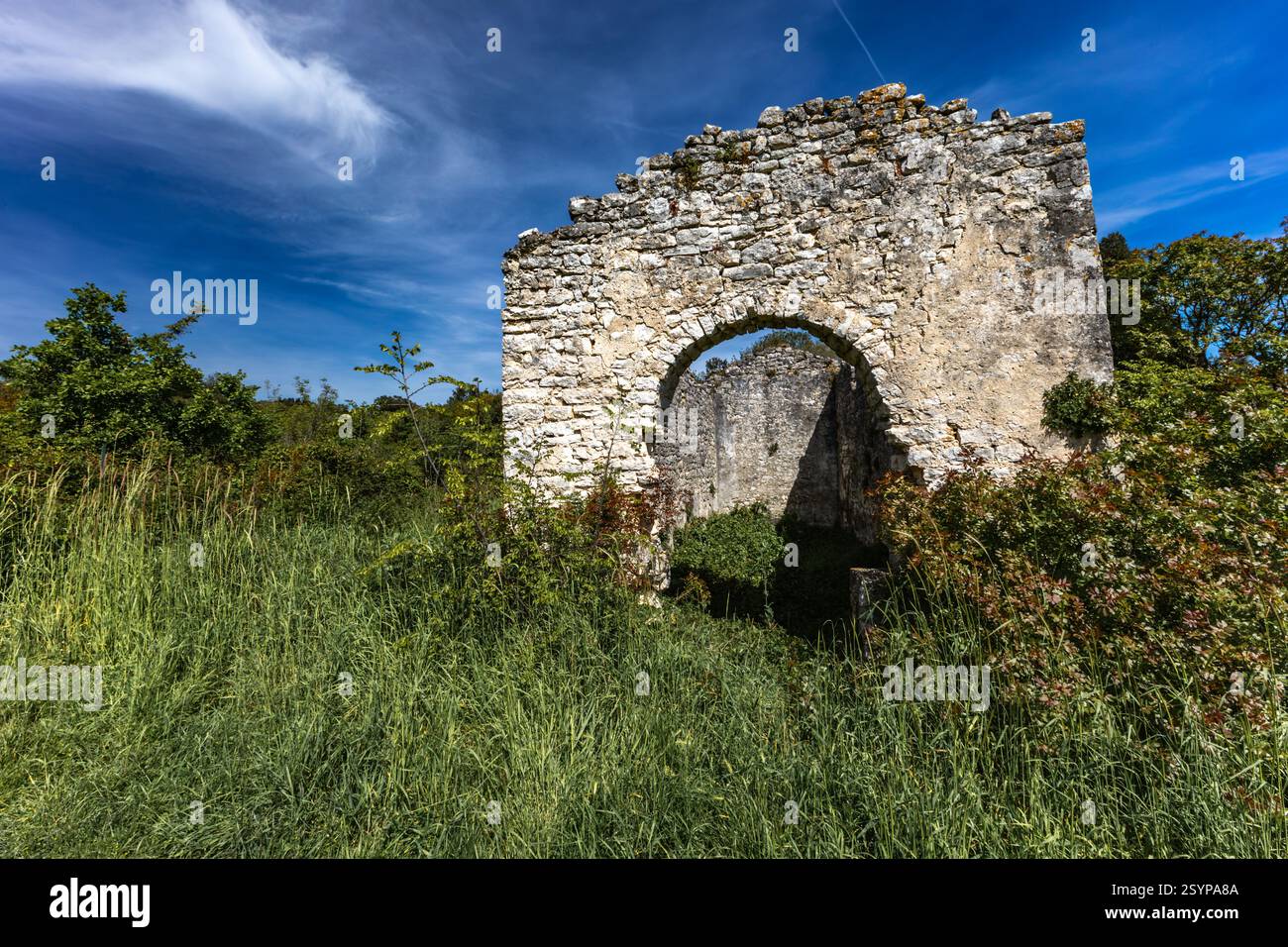 Rovine della vecchia chiesa di San Pietro vicino a Rovigno, penisola istriana, chiesa distrutta, monumenti croati Foto Stock