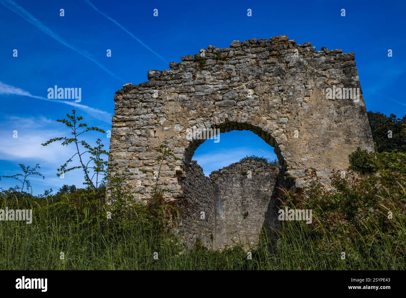 Rovine della vecchia chiesa di San Pietro vicino a Rovigno, penisola istriana, chiesa distrutta, monumenti croati Foto Stock