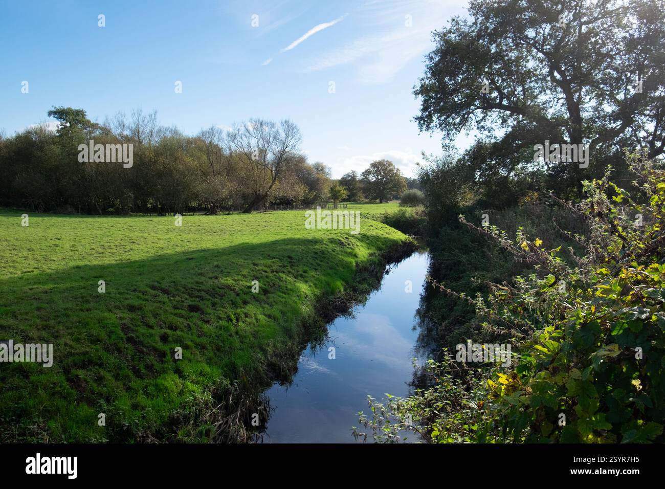 Ruscello o leat ai margini di un campo, Surrey, Inghilterra Foto Stock