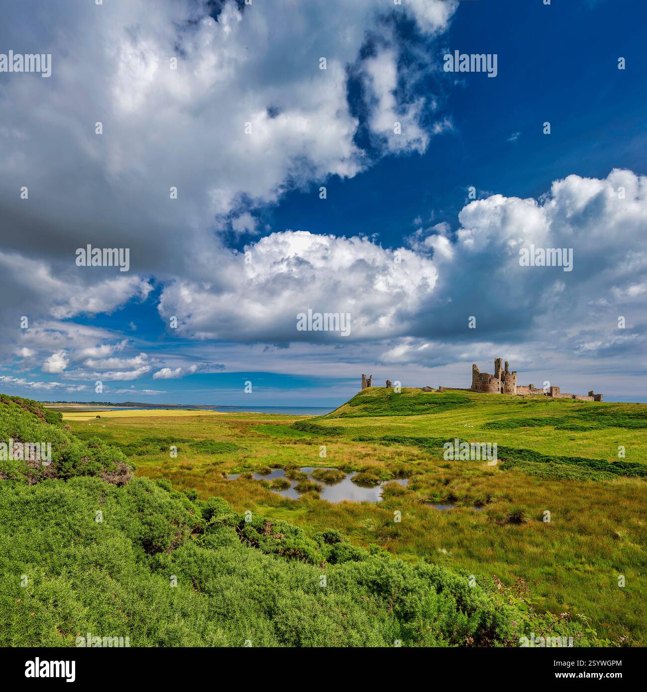 Ammira il castello di Dunstanburgh nel Northumberland, vicino a craster, in estate, in una giornata di sole, guardando verso Low Newton con incantevoli nuvole Foto Stock