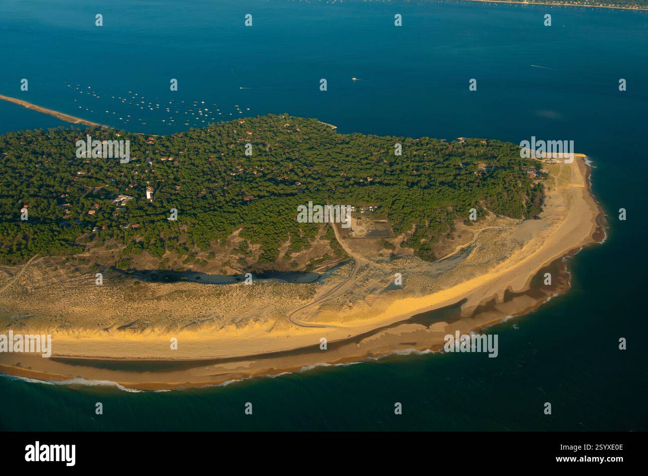 Francia, Gironde (33), vista aerea della spiaggia e della Pointe du Cap Ferret Foto Stock