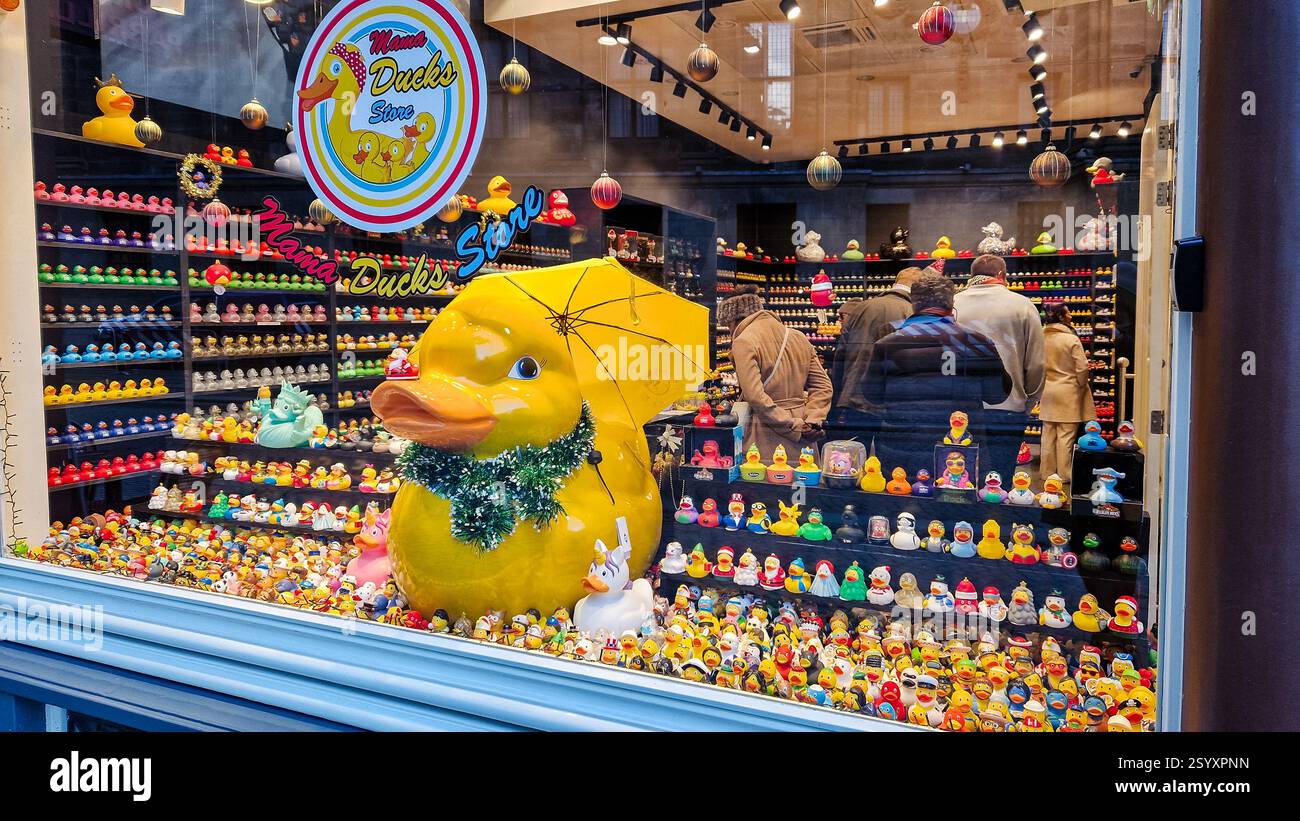 Amsterdam, Paesi Bassi - 3 dicembre 2024: Vetrina del negozio Mama Ducks. Negozio di souvenir sull'anatra alla gomma. Foto Stock