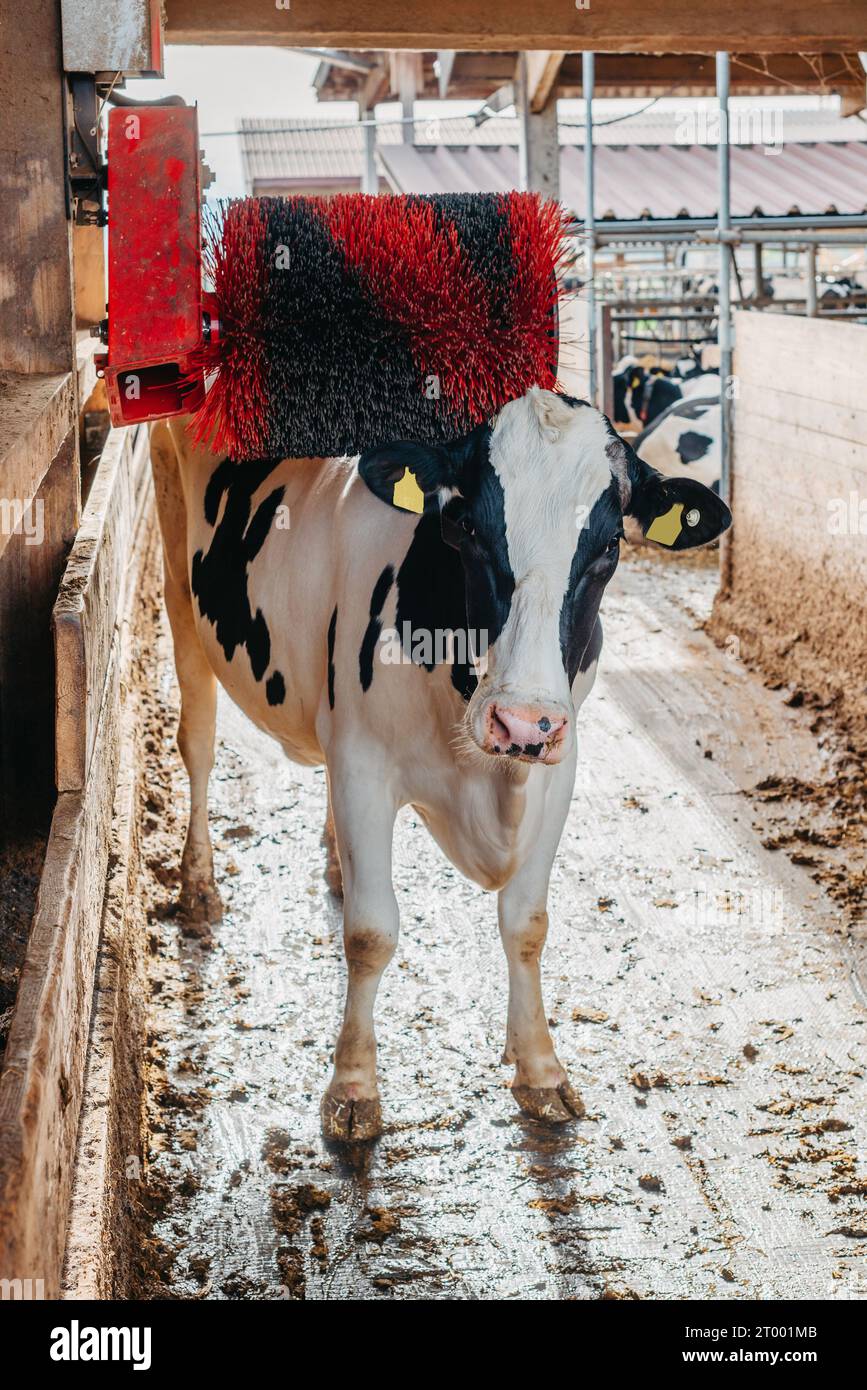 Stalla Per Animali In Legno Con Alimentazione Elettrica - Scala 1:32, Per Veicoli Ferroviari E Piccoli Animali Schleich
