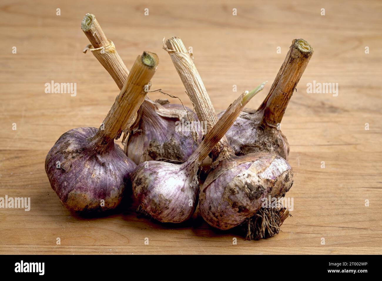 Asciugare gli spicchi d'aglio interi. Foto Stock