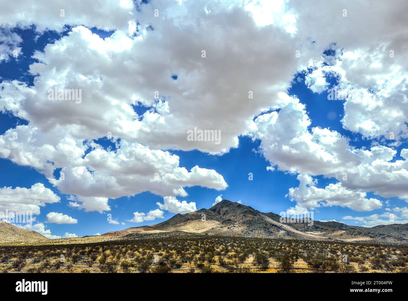 Aarid Landscape by the Highway a Mojave, California Foto Stock