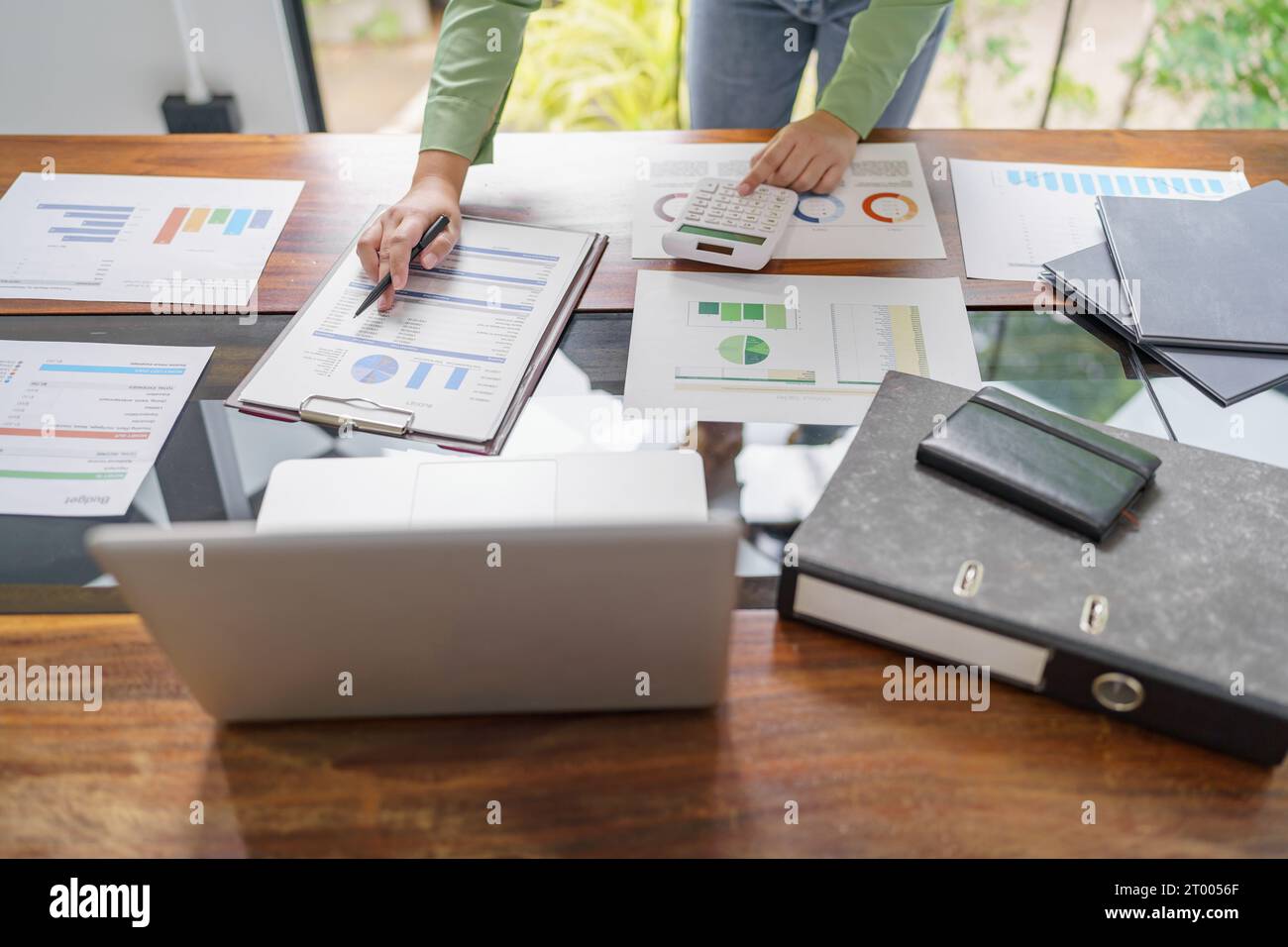 Donna d'affari che lavora in uno spazio di lavoro moderno e rispettoso dell'ambiente idee creative per investitori professionali ecocompatibili Foto Stock