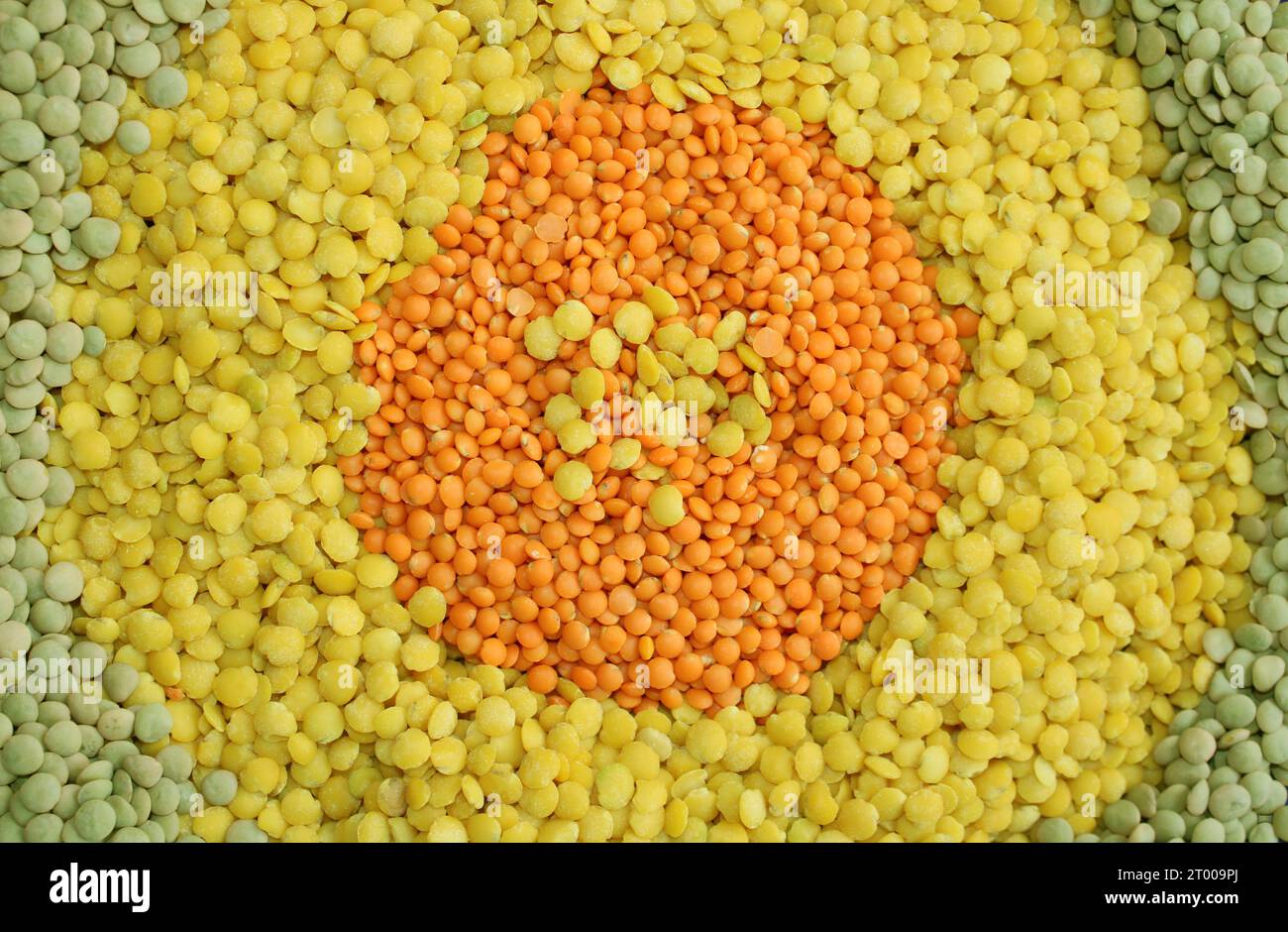 alimenti di base come lenticchie nei colori verde, rosso, arancione, giallo per i ristoranti vegetariani vegani o per il commercio di prodotti a base di cereali. cerchio Foto Stock