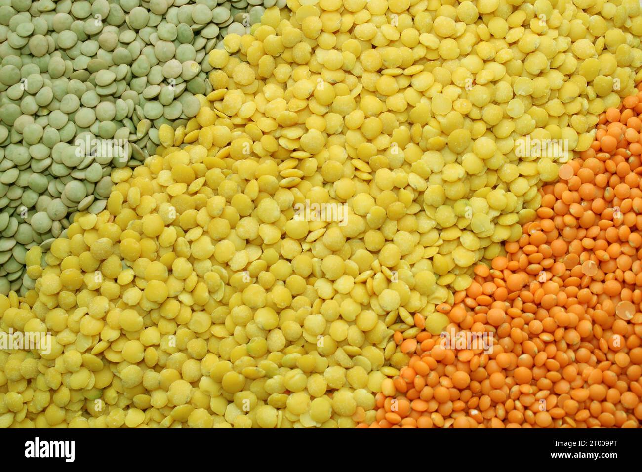 alimenti di base come lenticchie nei colori verde, rosso, arancione, giallo per i ristoranti vegetariani vegani o per il commercio di prodotti a base di cereali. strisce Foto Stock