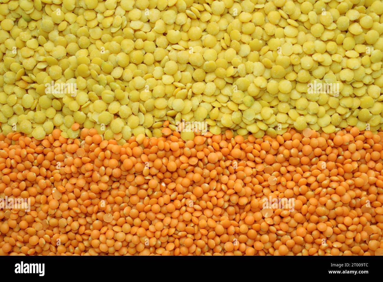 alimenti di base come lenticchie nei colori verde, rosso, arancione, giallo per i ristoranti vegetariani vegani o per il commercio di prodotti a base di cereali. strisce Foto Stock