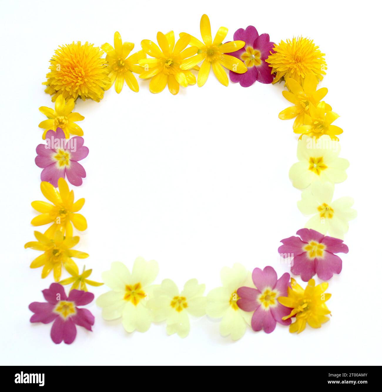 simboli, lettere fatte con fiori freschi di colore giallo, arancione. per le feste di compleanno, gli anniversari, le celebrazioni nuziali e gli eventi aziendali, inquadra Foto Stock