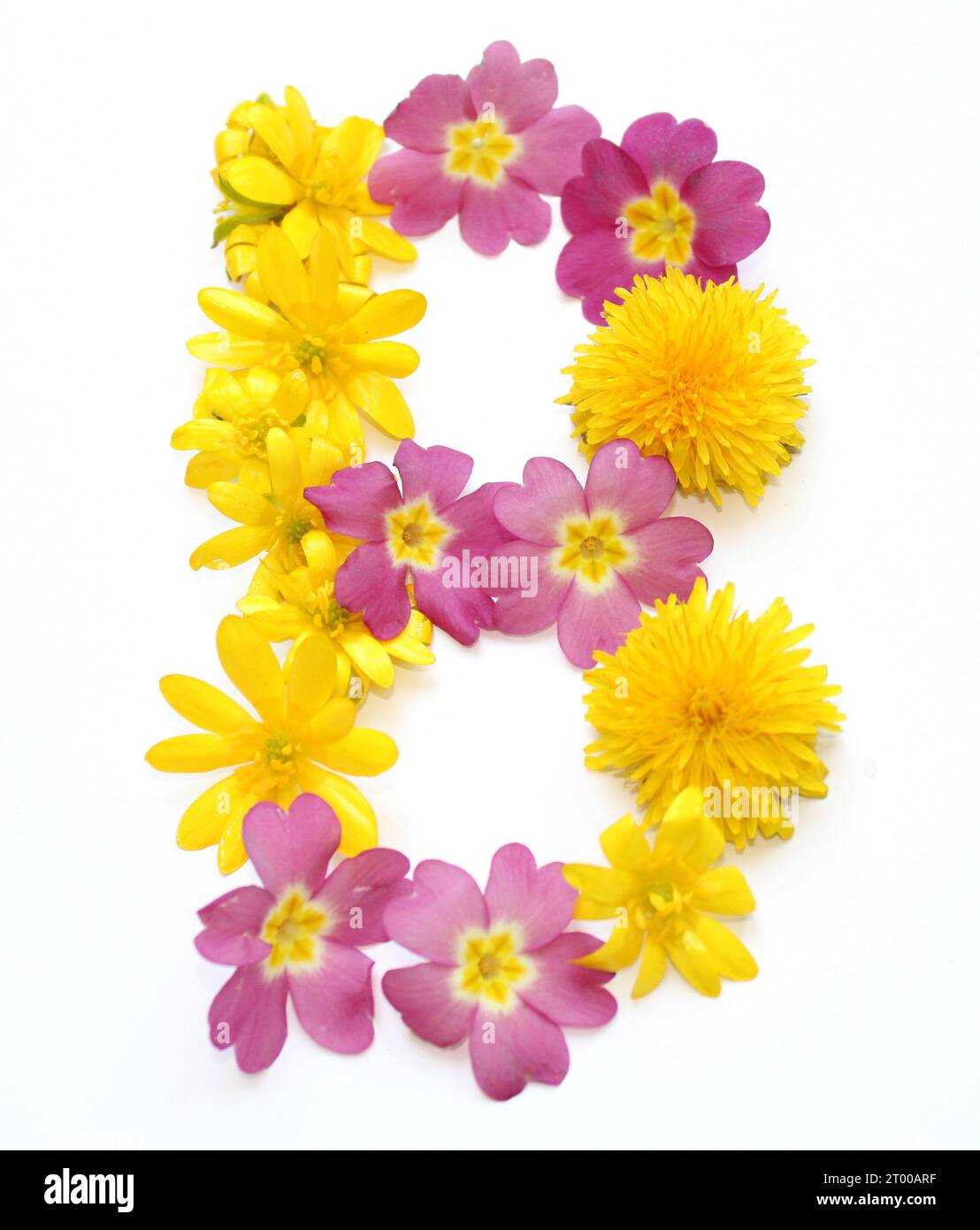 simboli, lettere, giallo appena selezionato, arancione, fiori. Per feste di compleanno, anniversari, celebrazioni nuziali ed eventi aziendali, lettera B. Foto Stock