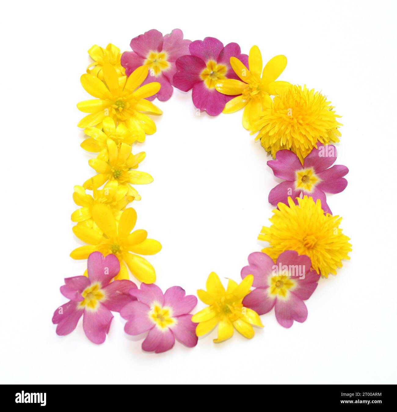 simboli, lettere, giallo appena selezionato, arancione, fiori. Per feste di compleanno, anniversari, celebrazioni nuziali ed eventi aziendali, lettera D. Foto Stock