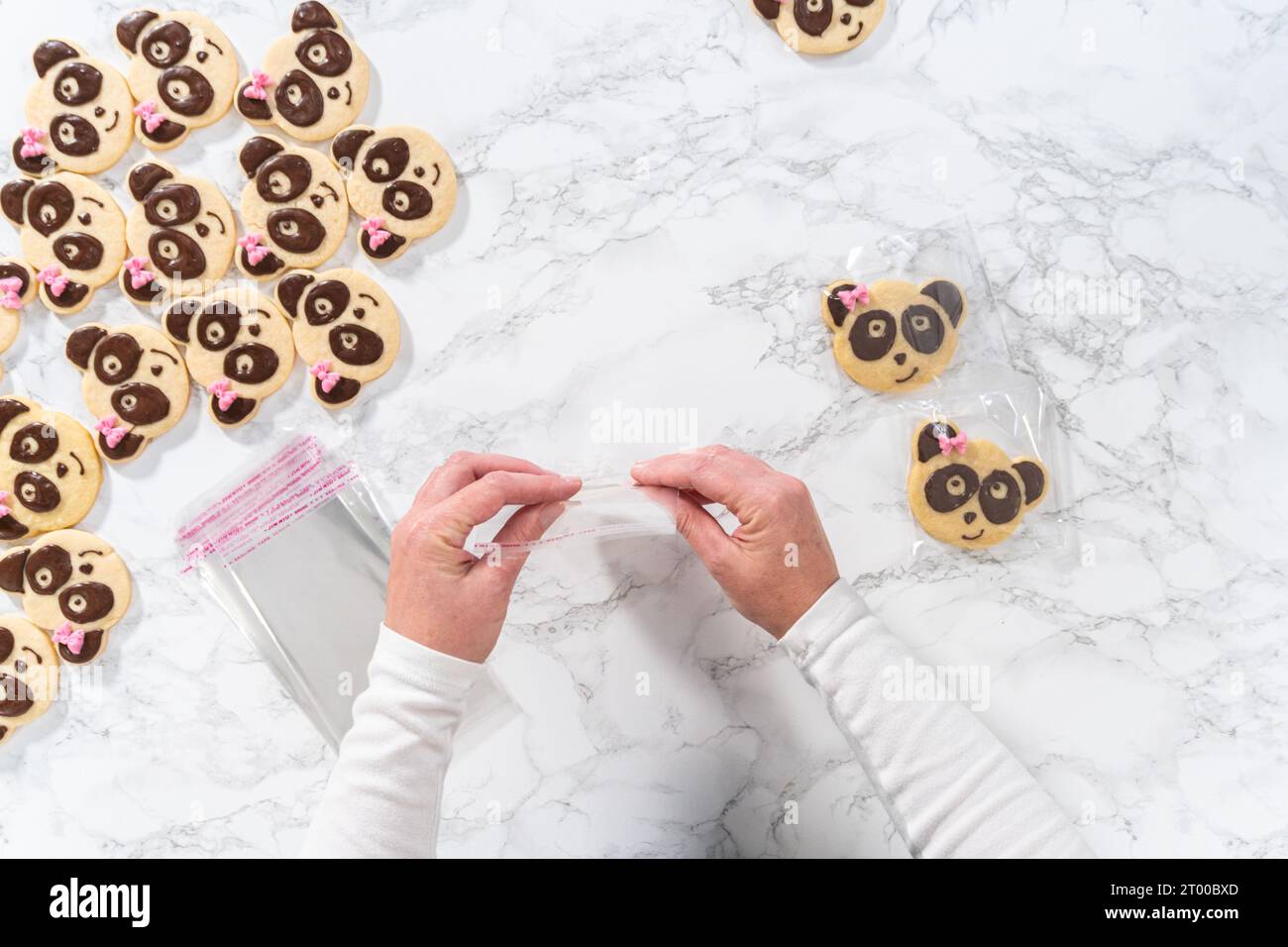 Biscotti frollini a forma di panda con glassa al cioccolato Foto Stock