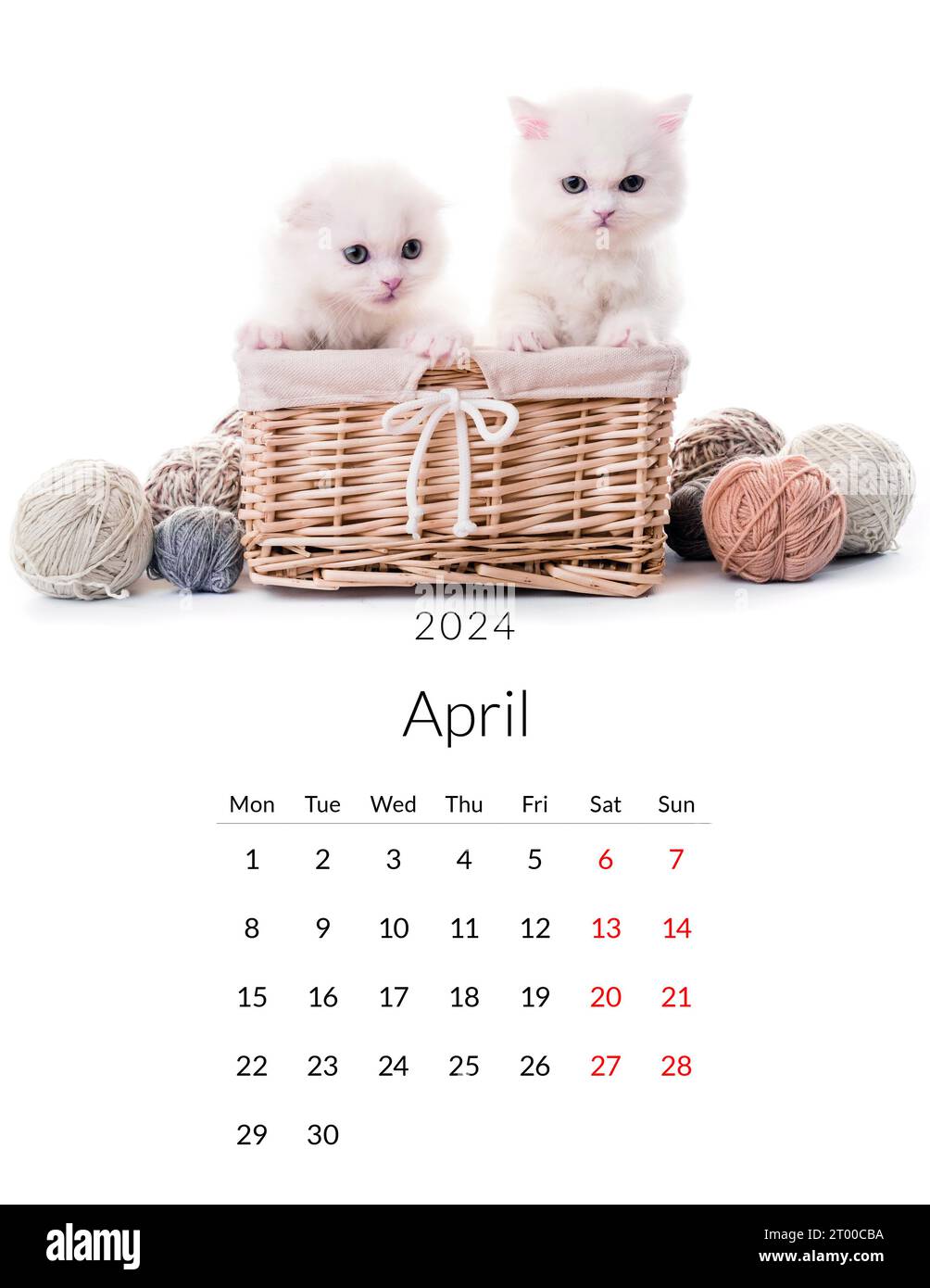 Aprile 2024 Calendario fotografico con gatti carini. Modello di