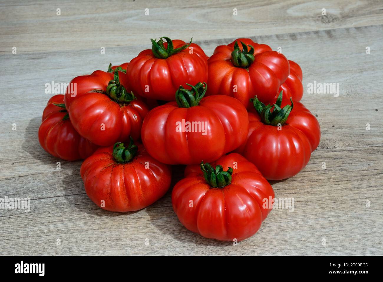 Pomodori Costoluto Fiorentino maturi raccolti in pila, Regno Unito, Europa Foto Stock