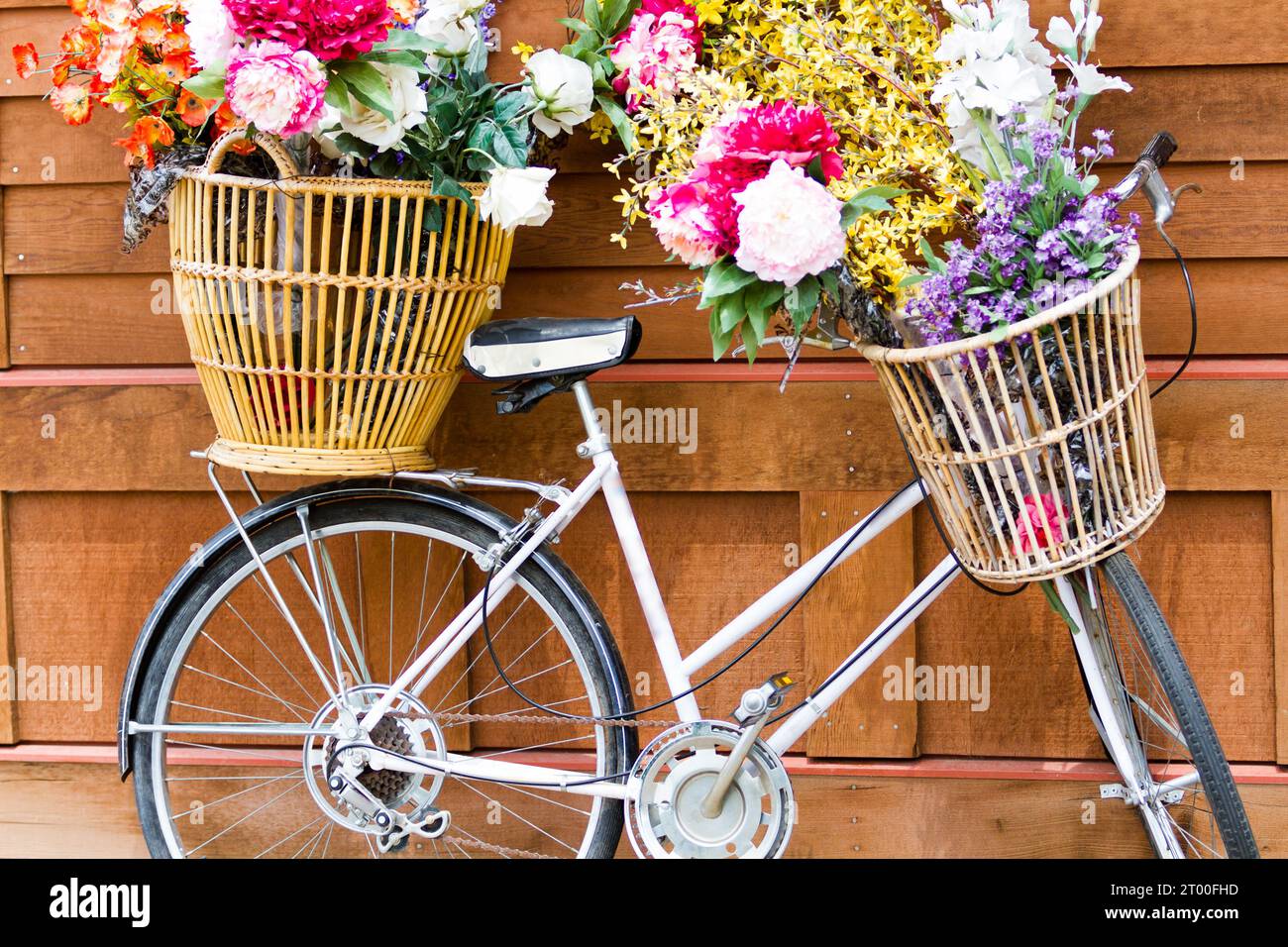 Biciclette Foto Stock