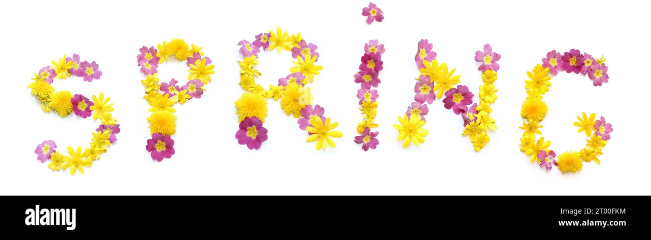 La parola PRIMAVERA è fatta di fiori gialli rosa rossi e arancioni. Le lettere floreali possono essere utilizzate come poster per matrimoni, anniversari ed eventi aziendali Foto Stock