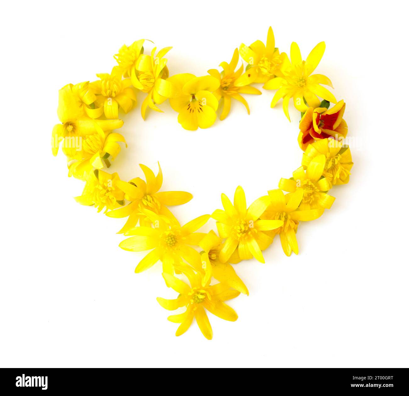 simboli, lettere fatte con fiori freschi di colore giallo, arancione. per feste di compleanno, anniversari, celebrazioni nuziali ed eventi aziendali, heart Foto Stock