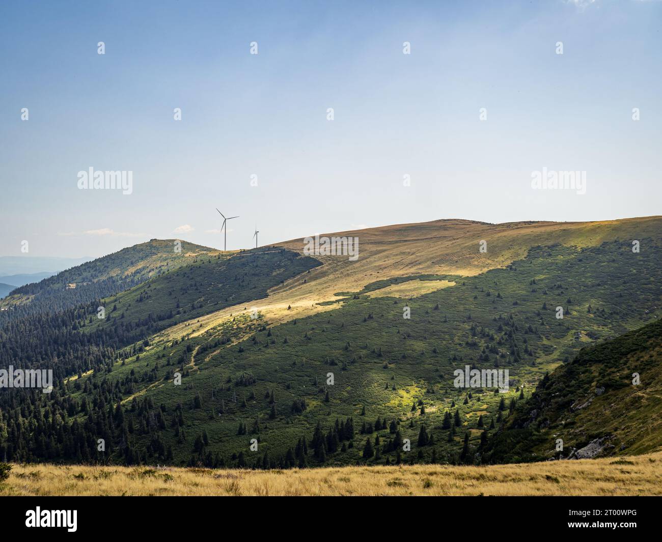 Turbine eoliche su una collina dorata durante l'estate, energia rinnovabile verde, produzione di elettricità nelle montagne del Bihor, Transilvania, Romania Foto Stock