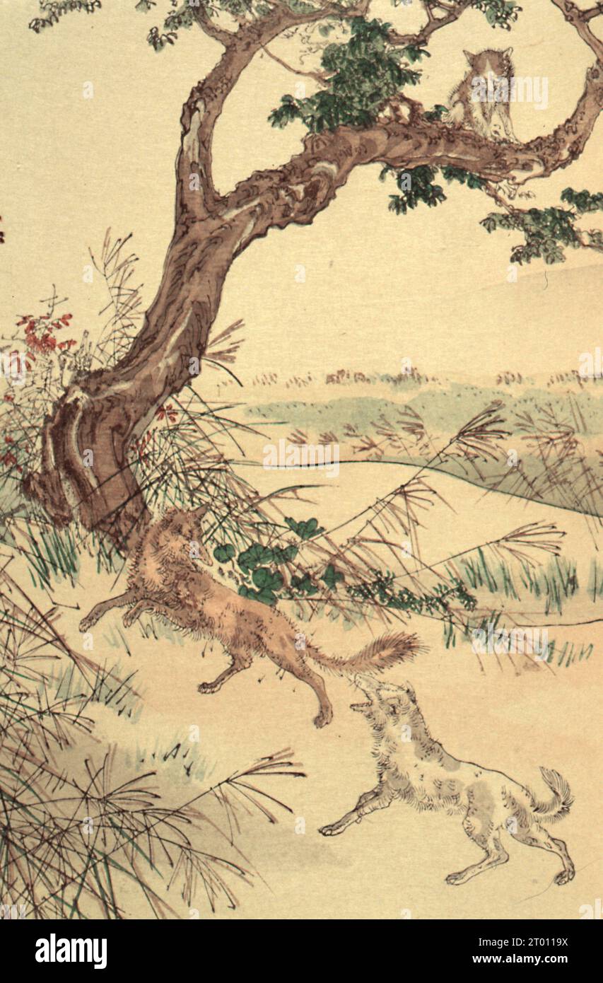 The Cat and the Fox Book "Choix de fables de la Fontaine, Illustrées par un groupe des meilleurs Artistes de Tokio", pubblicato da P. Barboutau. 1894 Foto Stock