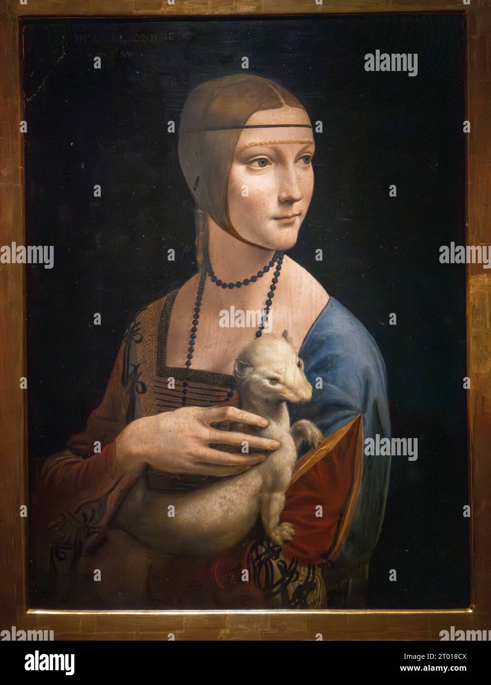 Leonardo da Vinci, dipinto della Signora con un ermellino, c. 1489-91, Museo Czartoryski, Cracovia, Polonia Foto Stock