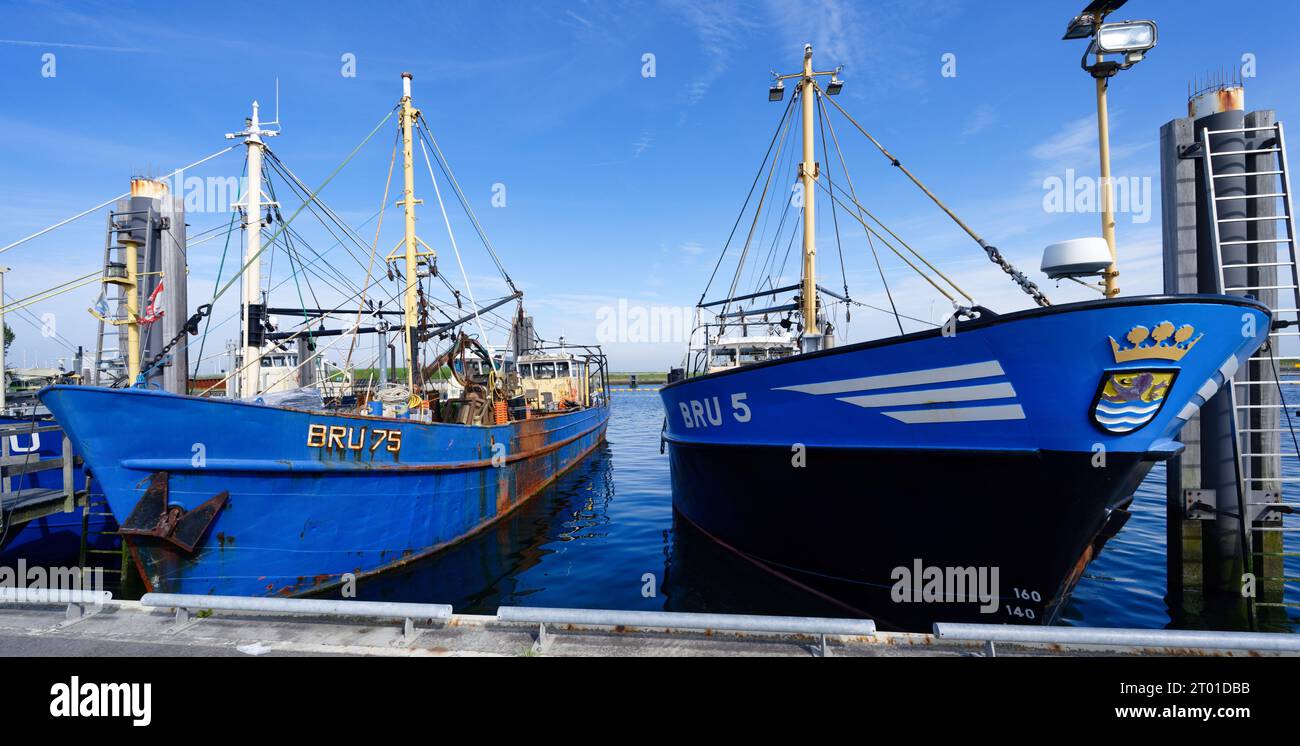 Bruinisse, Paesi Bassi settembre 27 2023: Pescherecci blu ormeggiati nel porto di pesca di bruinisse in una giornata di sole Foto Stock
