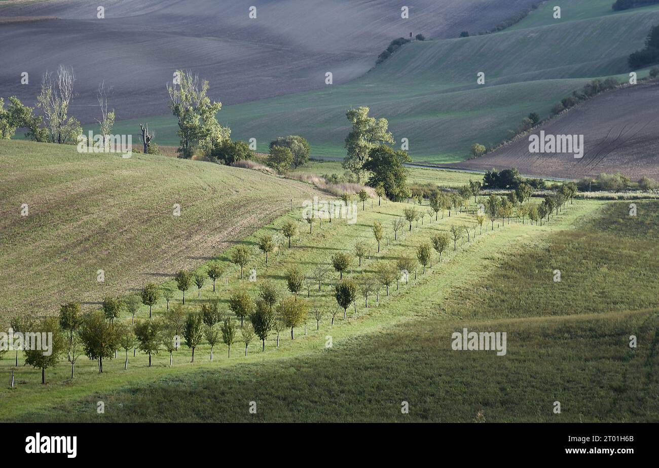 La Toscana morava, in ceco conosciuta come Moravske Toskansko, è una regione molto pittoresca nella parte meridionale della Moravia. Si trova nell'Hodonin Dis Foto Stock