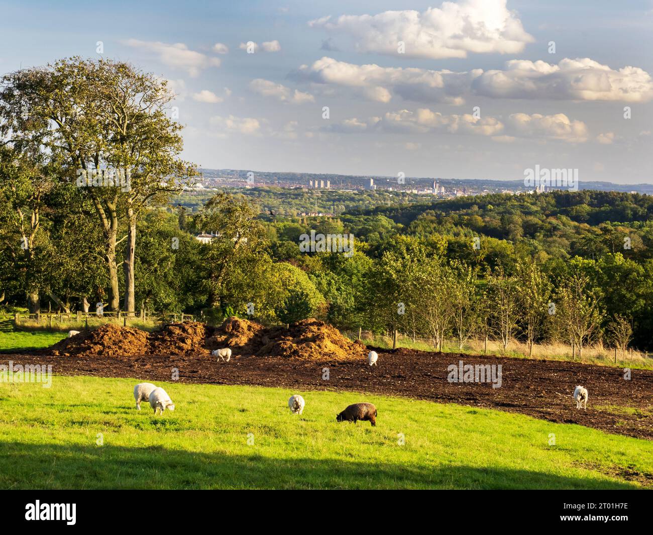 Leicester City da Woodhouse vicino Loughborough, Leicestershire, Regno Unito. Foto Stock