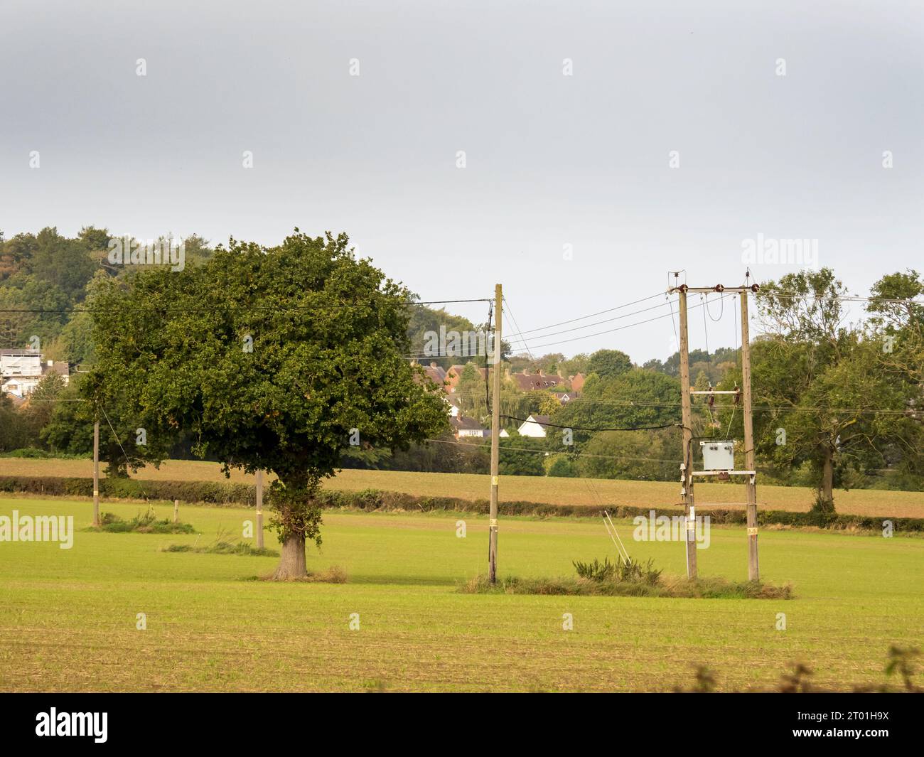 Pali elettrici a Woodhouse vicino Loughborough, Leicestershire, Regno Unito. Foto Stock