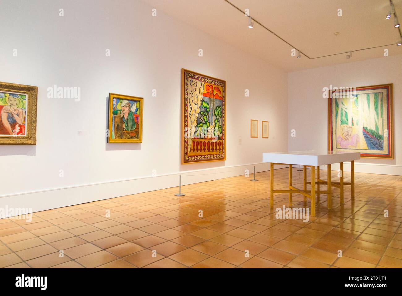 Sala con dipinti e altre opere con il tema "Fauvism Revived" dall'artista nella galleria del Museo Matisse a Nizza, in Francia. (135) Foto Stock