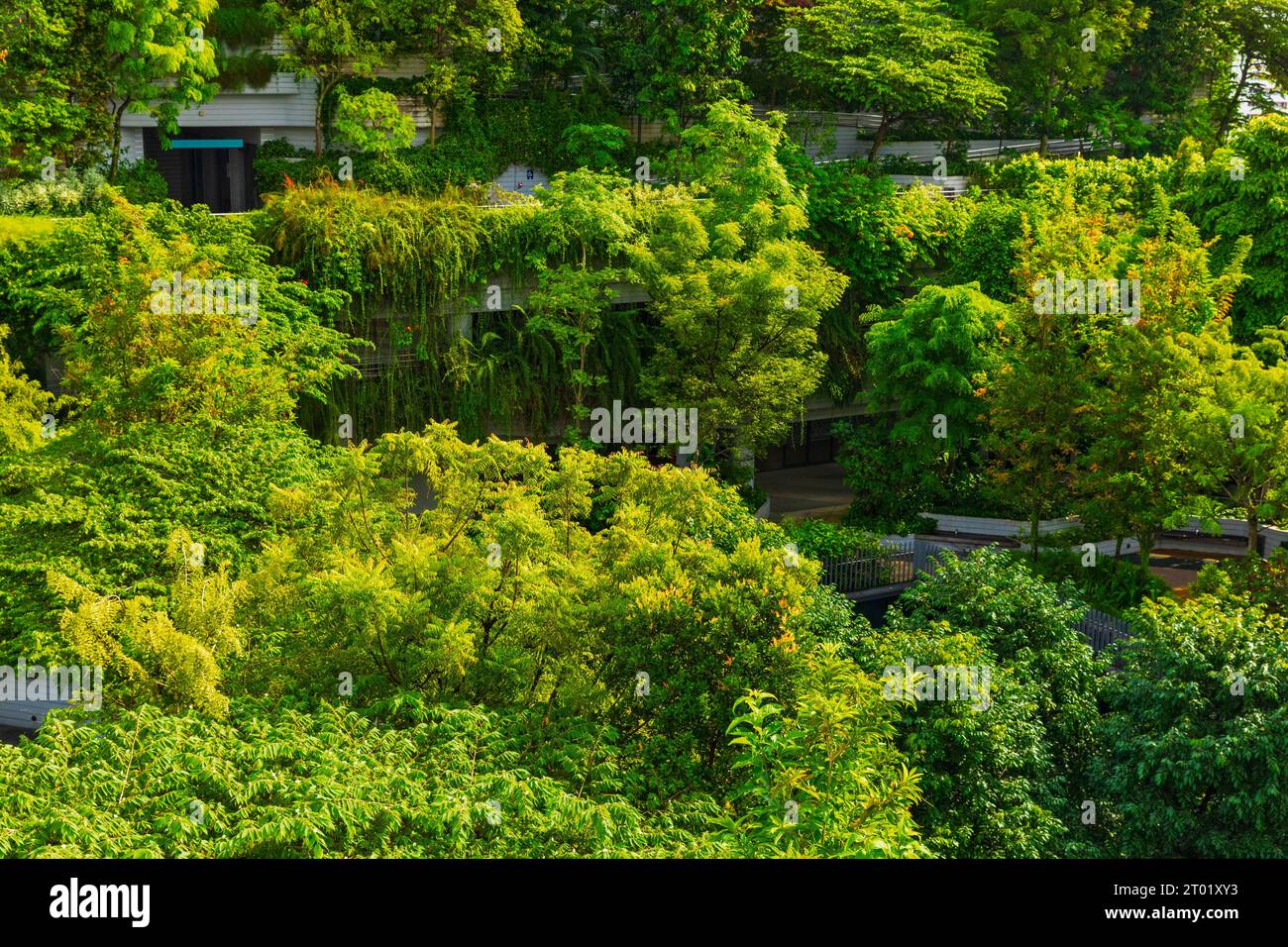 Il Kampung Admiralty è un complesso residenziale pubblico di 11 piani a Singapore coperto di vegetazione. Il design paesaggistico include la piantagione a terra e il tetto verde Foto Stock