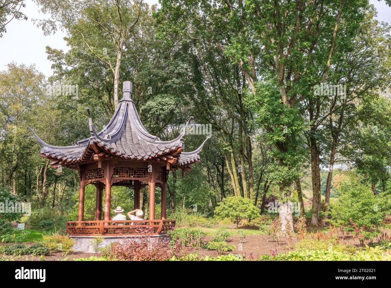 Padiglione Qing Yin - padiglione di musica cinese costruito in modo autentico nel terreno del RHS Garden Bridgewater. Foto Stock