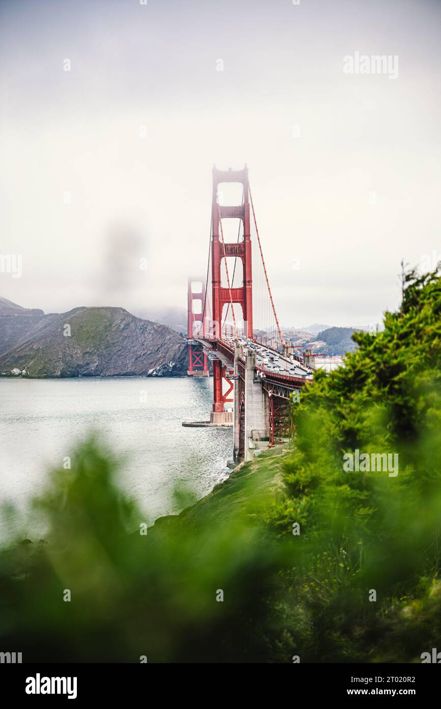 Golden Gate Bridge a San Francisco durante il tempo nebbioso, piante sfocate in primo piano. Foto Stock
