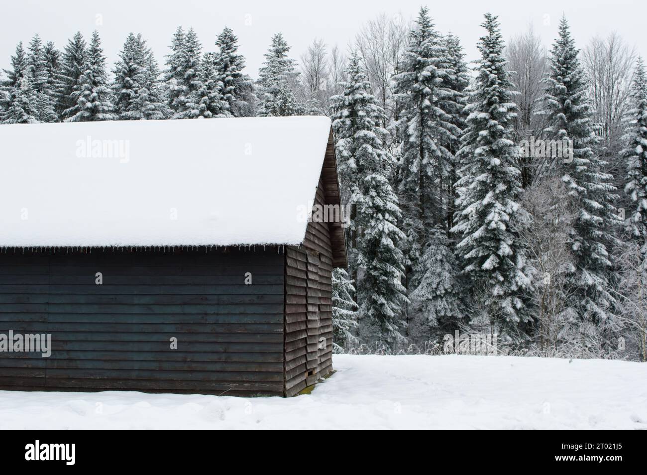 Piccola casa in legno coperta di neve nella foresta, Gorski kotar, Croazia Foto Stock