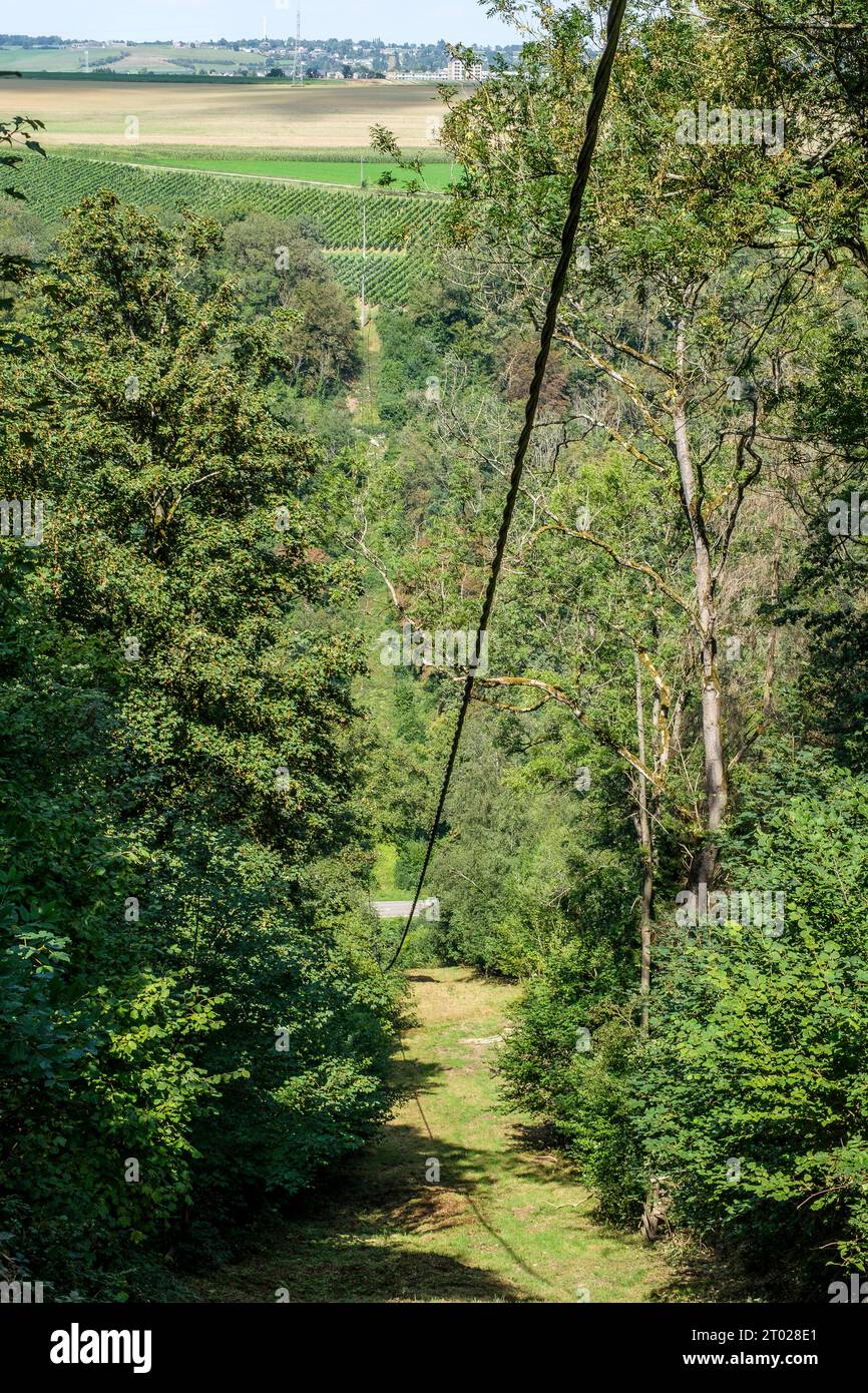 Rete elettrica attraverso un bosco | Reseau electrique traversant un bois Foto Stock