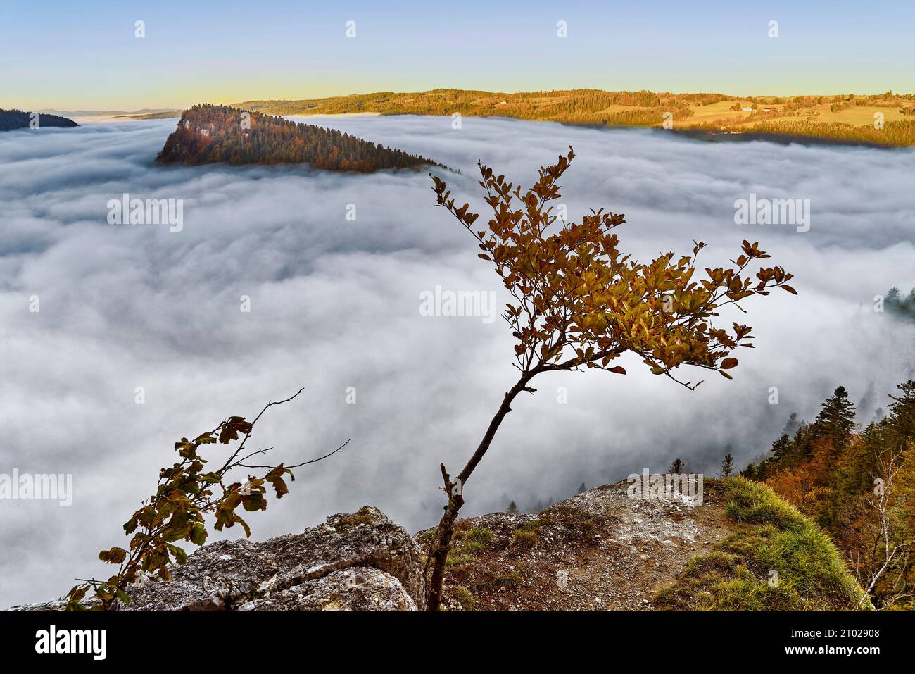 Il Lac de Moron nel Neuchâtel Giura, sotto il mare di ​​fog. Foto Stock