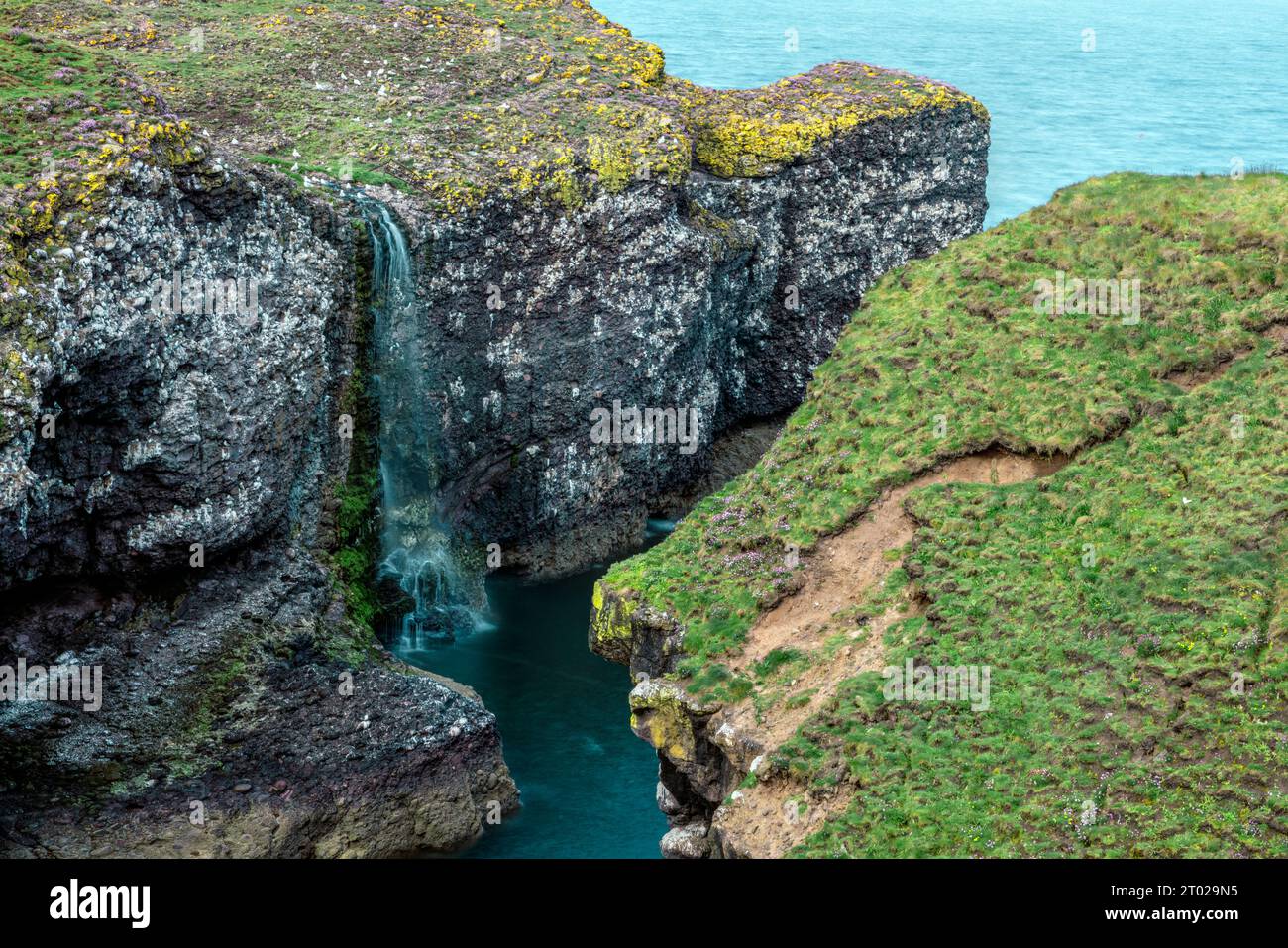 Crawton Waterfalll vicino a Stonehaven nell'Aberdeenshire, Scozia Foto Stock