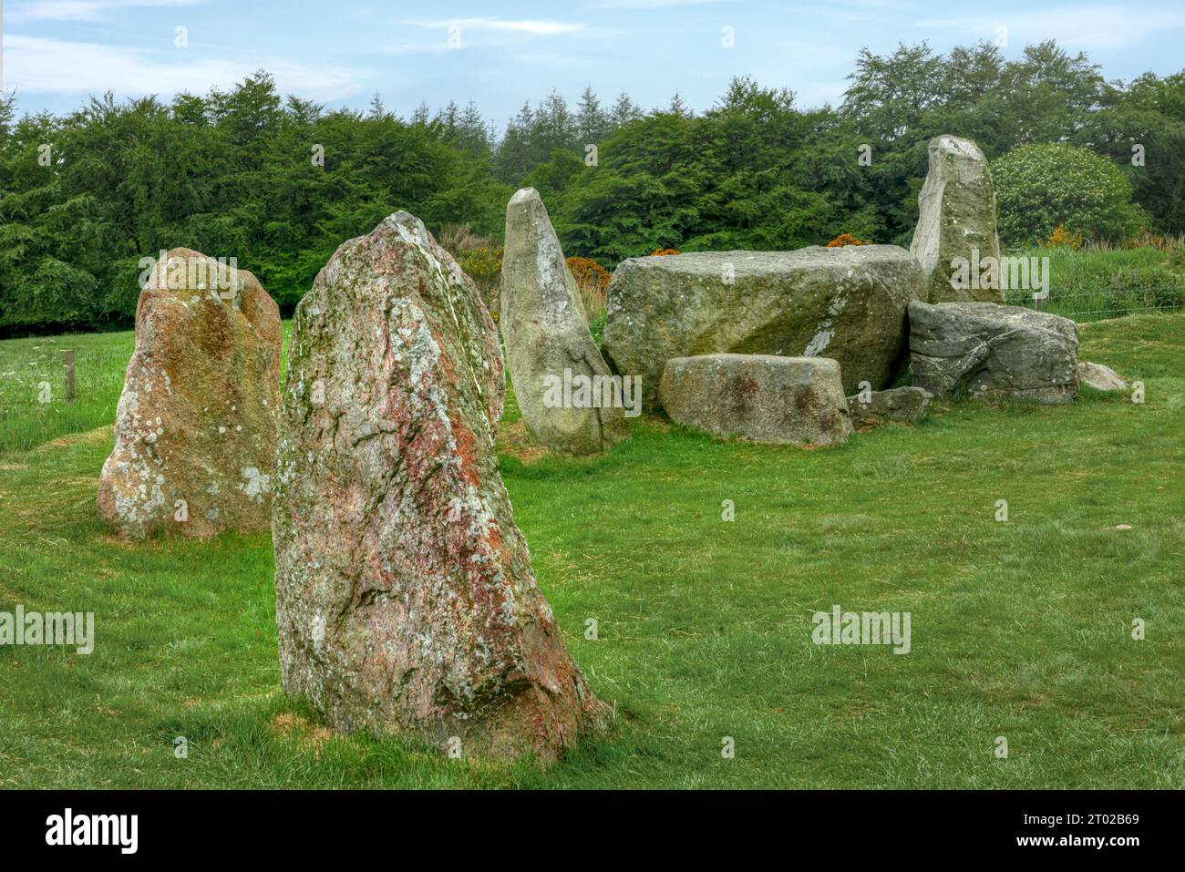 East Aquhorthies Stone Circle vicino Inverurie, Aberdeenshire, Scozia Foto Stock