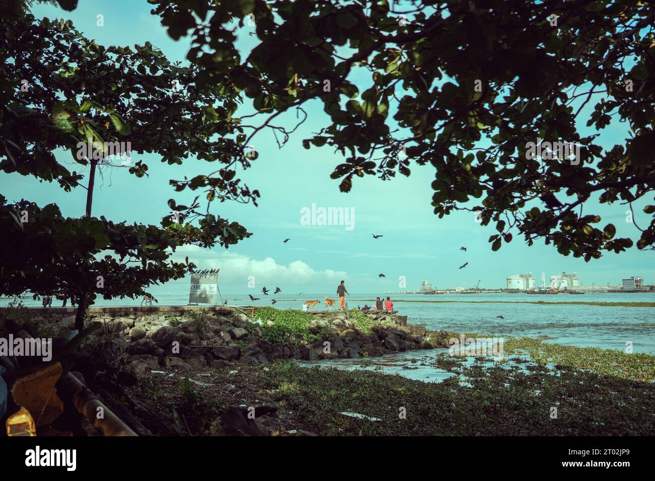 fotografia di strada nelle strade di fortkochi kerala india Foto Stock