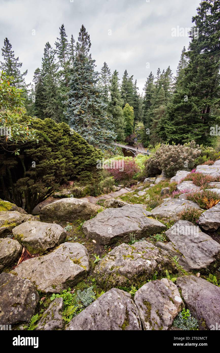 La passerella pedonale in ferro sopra Debdon Burn a Cragside fu fabbricata nel 1870 presso la Lord Armstrong's Elswick Works. Foto Stock