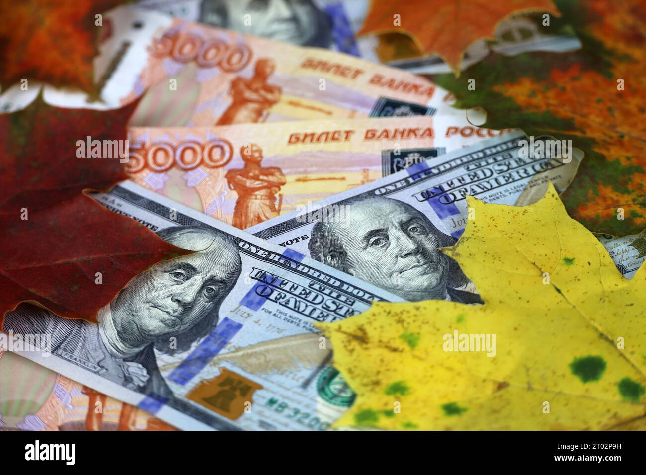 Rubli russi e dollari USA in banconote coperte da foglie di acero rosso e arancione. Economia della Russia in autunno, tasso di cambio Foto Stock