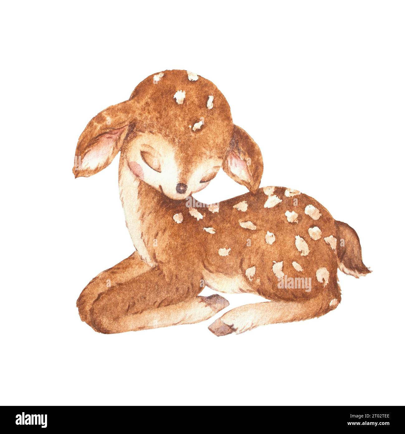 Acquerello del sonno dei cervi, illustrazione dell'acquerello dei Fawn, illustrazione degli animali della foresta Foto Stock