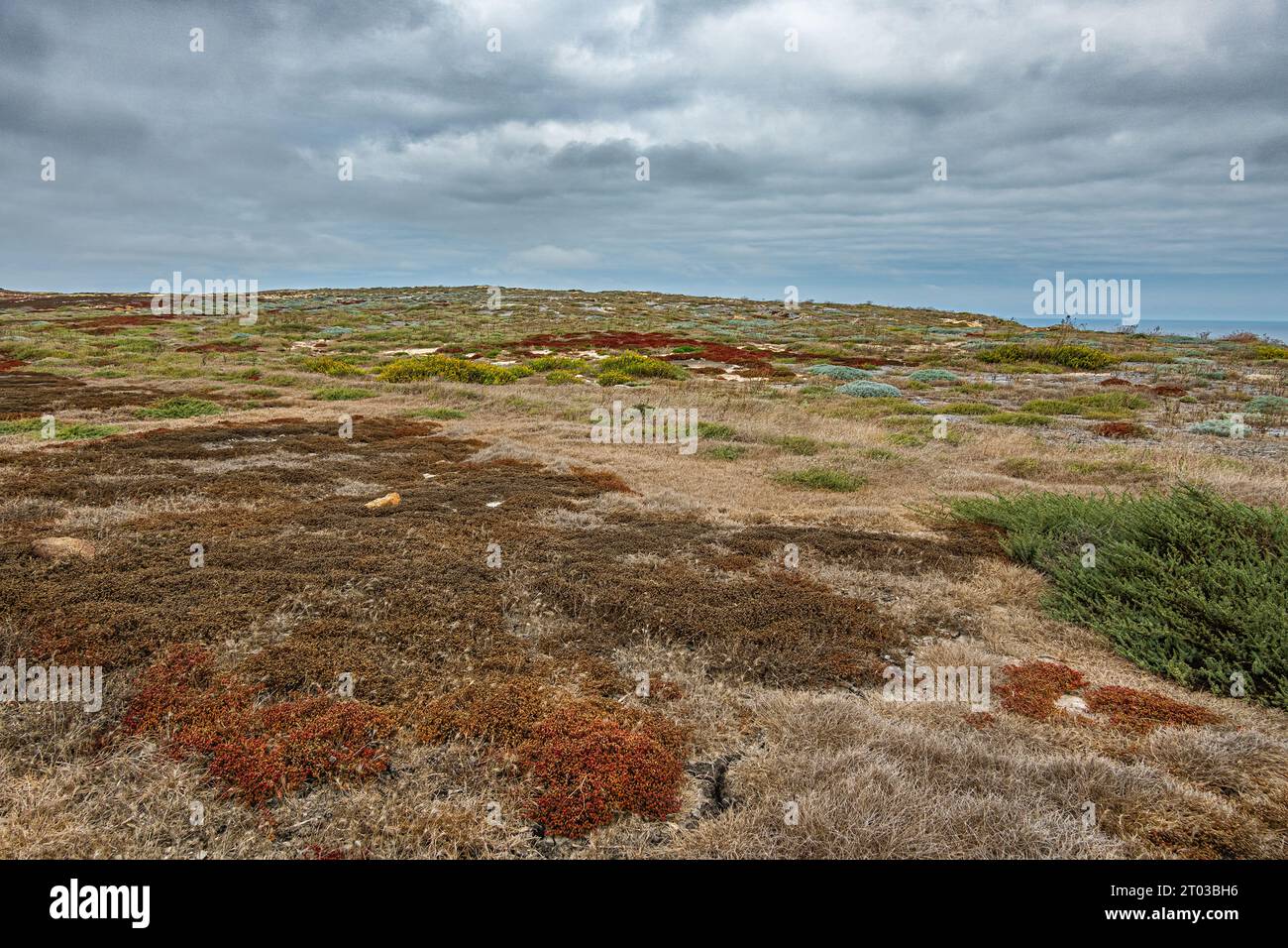 Santa Cruz Island, CA, USA - 14 settembre 2023: Ampio paesaggio all'altopiano di Cavern Point che mostra scrub rosso, verde, marrone e blu su sporco incrinato Foto Stock