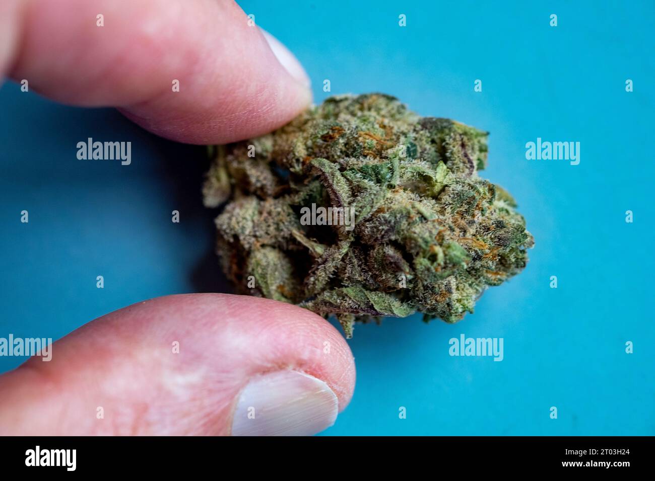 Cannabis medicalmente prescritta coltivata e confezionata in Canada e importata per uso australiano Foto Stock