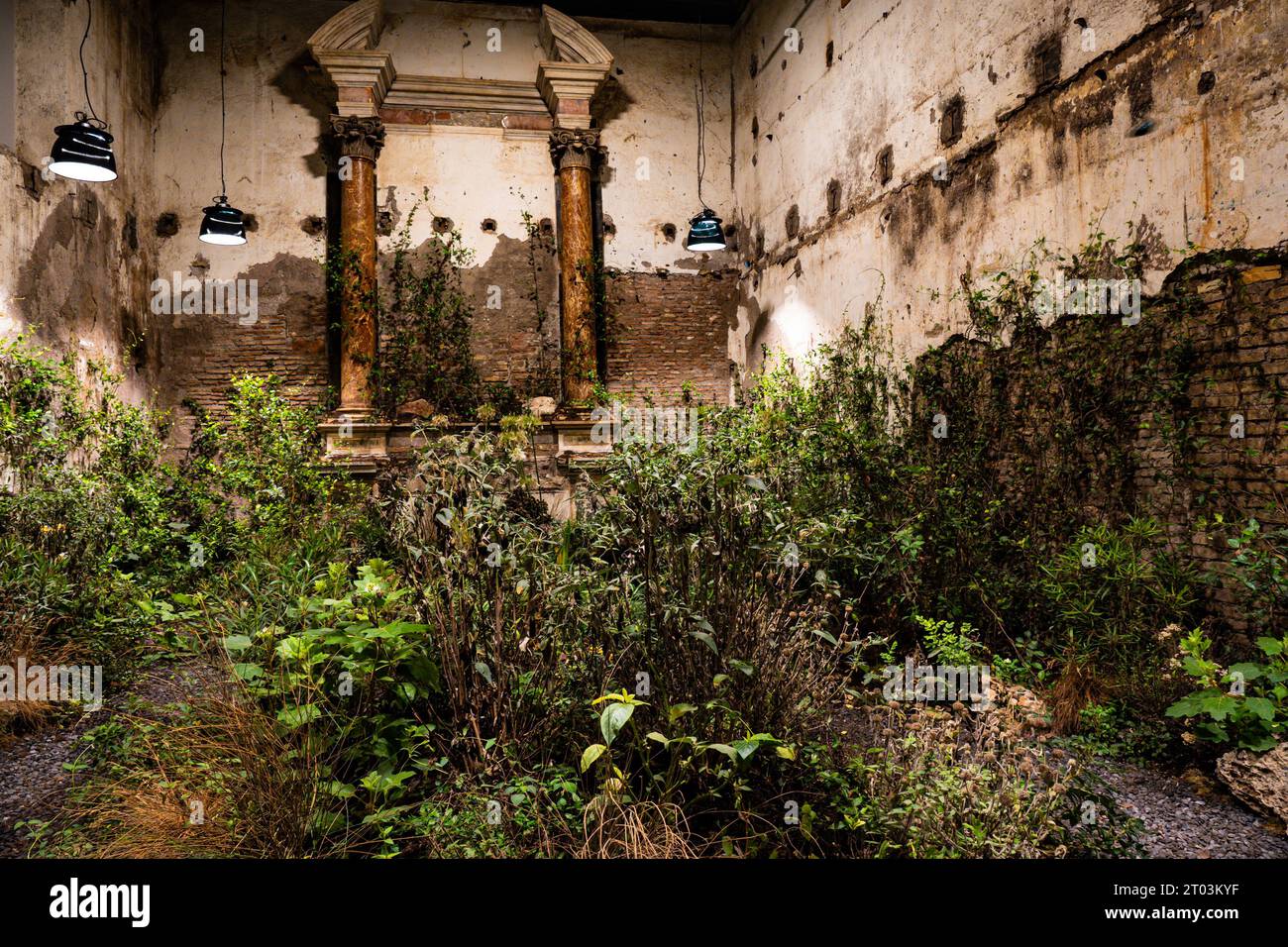 Pareti intemprate con erba alta all'interno. All'interno di un vecchio edificio in rovina con colonne Foto Stock