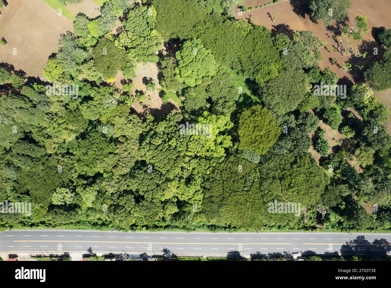 Strada autostradale dritta intorno a un paesaggio naturale verde, vista aerea sopra la cima dei droni Foto Stock
