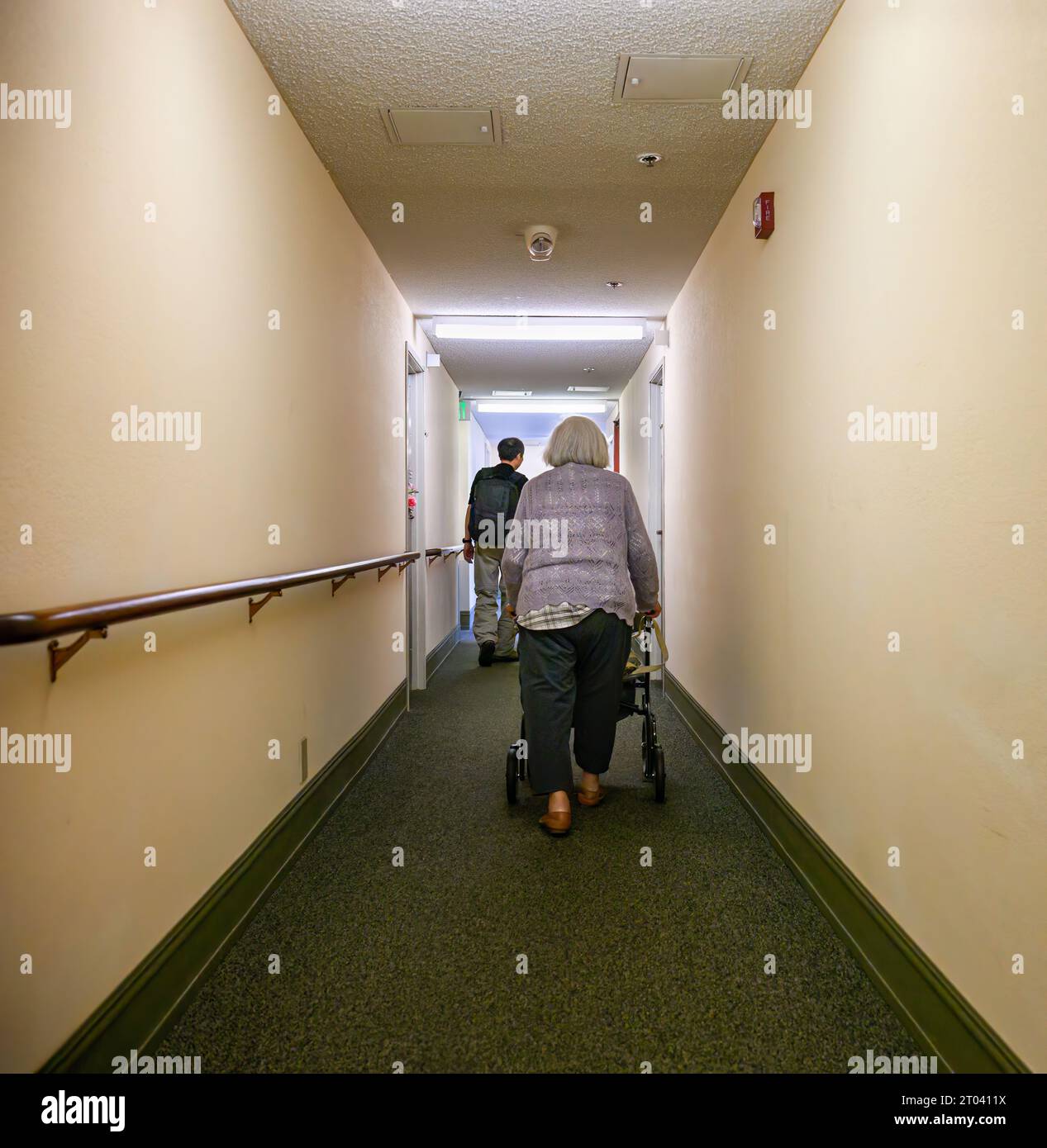 Donna anziana che cammina usando un passante per la mobilità nel corridoio dell'appartamento. Formato verticale. Foto Stock