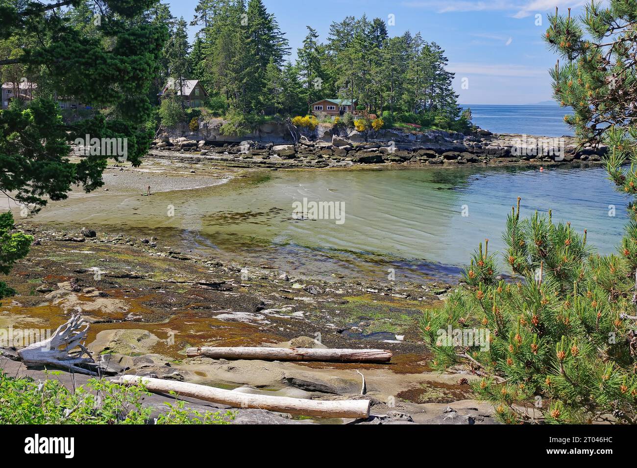 Spiaggia e baia idilliaca con acqua cristallina trasparente, marciapiede, case individuali, isola Gabriola, isole del Golfo, Vancouver Island, British Columbia Foto Stock