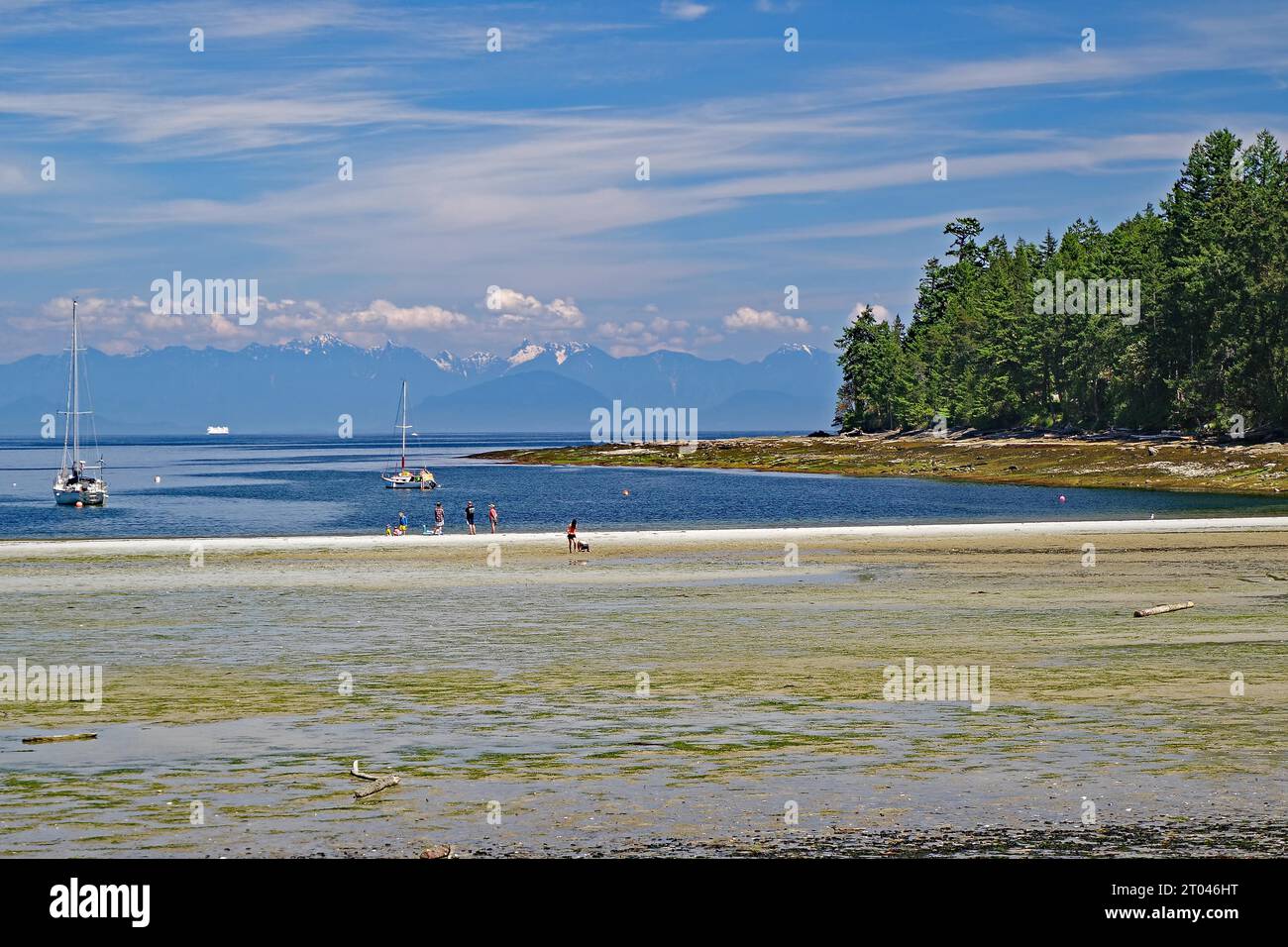 Spiaggia e baia idilliaca, strada panoramica, case individuali, isola Gabriola, isole Gulf, Vancouver Island, British Columbia, Canada Foto Stock